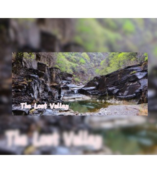 The Lost Valley 2021 Steam Key GLOBAL